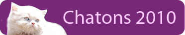 chatons2010